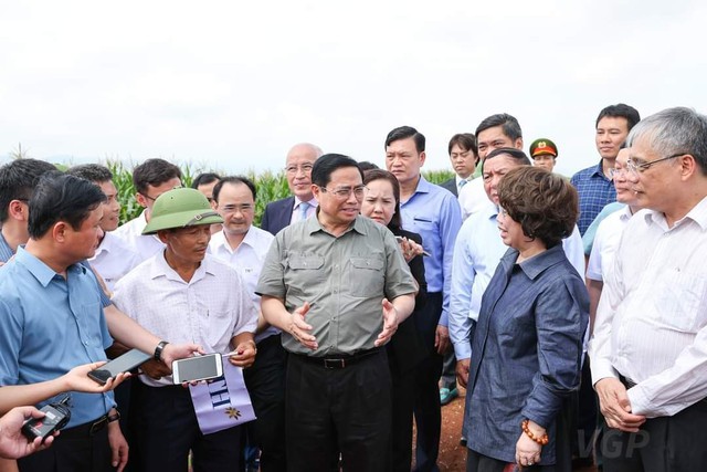 Nghệ An: Thủ tướng Chính phủ Phạm Minh Chính làm việc với Tập đoàn TH - Ảnh 3.