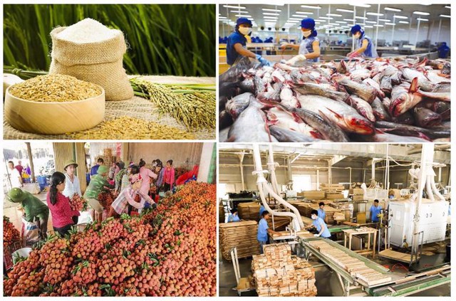 Xuất khẩu nông sản hướng tới mục tiêu 55 tỷ USD