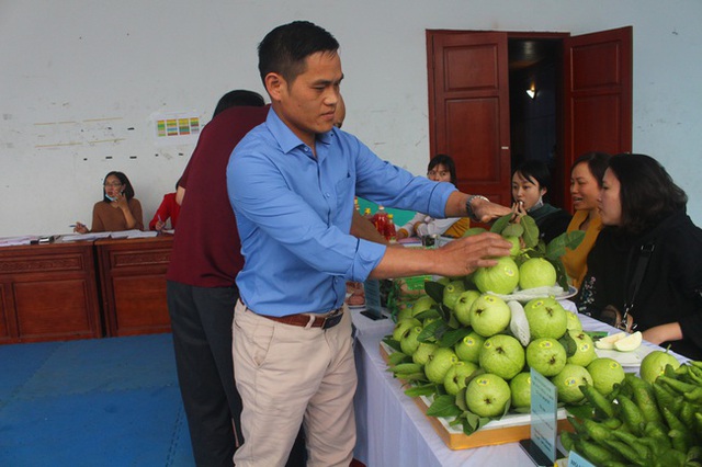Giới thiệu sản phẩm ổi trái vụ Di Trạch tại diễn đàn liên kết, tiêu thụ sản phẩm do ngành nông nghiệp Hà Nội tổ chức trên địa bàn huyện Hoài Đức tháng 3/2021. Ảnh: Dân Việt