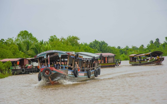 Du khách tham quan du lịch Cù lao An Bình trên thuyền du lịch.