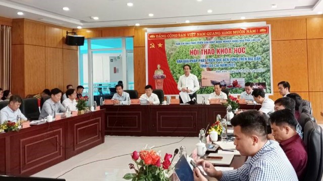 UBND Tỉnh Lào Cai tổ chức Hội thảo bàn giải pháp phát triển quế bền vững trên địa bàn tỉnh - Ảnh 1.