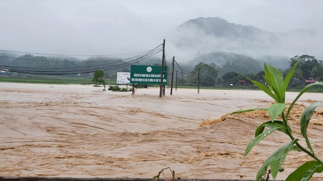 Phú Thọ: Di dời 44 hộ dân do mưa lũ và sạt lở - Ảnh 1.