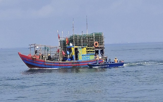 Nghệ An:  Triển khai các giải pháp chống khai thác hải sản bất hợp pháp IUU. - Ảnh 2.