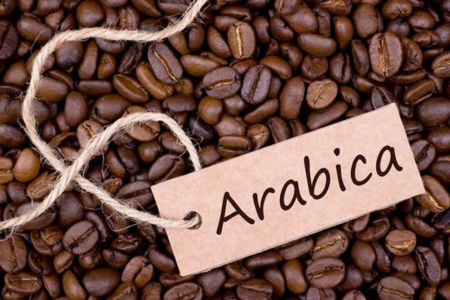 Giá cà phê Arabica ghi nhận tuần tăng mạnh nhất trong 5 tháng - Ảnh 1.