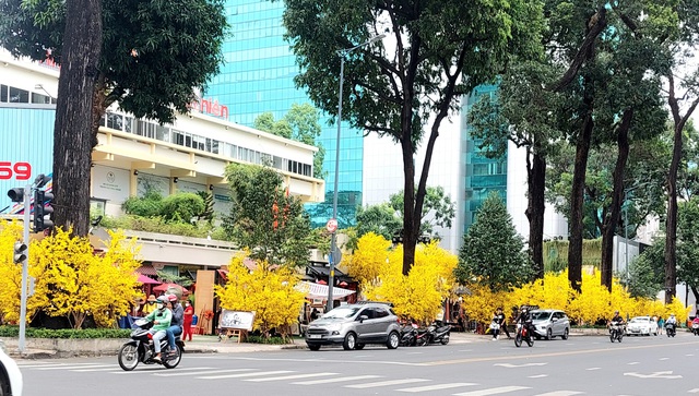 TP. Hồ Chí Minh bắt đầu vào hội Tết Việt Quý Mão 2023 - Ảnh 3.