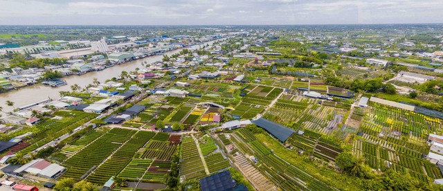 Toàn cảnh làng hoa Sa Đéc.