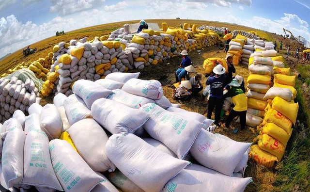 9 tháng năm 2023, xuất khẩu gạo đạt 3,66 tỷ USD, tăng 40,4% - Ảnh 1.
