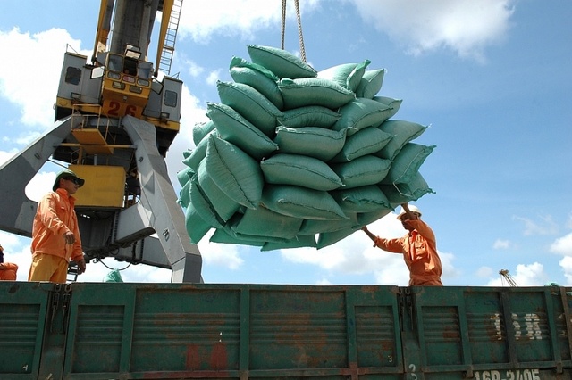 Giá gạo xuất khẩu Việt Nam tiếp tục duy trì ở mức cao- Ảnh 1.