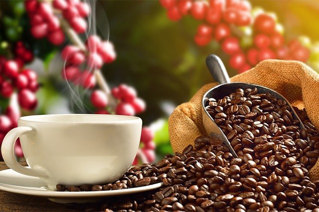Xuất khẩu cà phê Việt Nam 11 tháng tăng 3,4%- Ảnh 1.