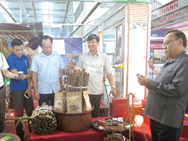 Thương mại điện tử đưa nông sản xứ Thanh vươn xa- Ảnh 2.