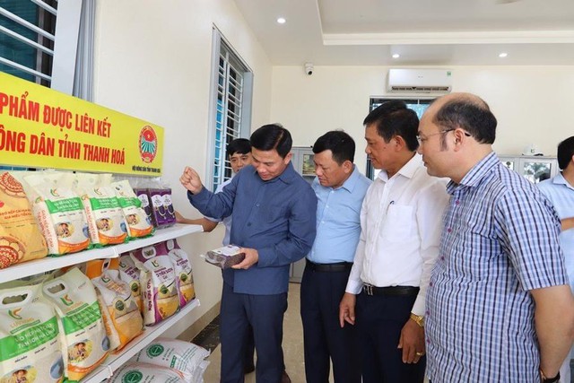 Thanh Hóa: Dẫn đầu khu vực Bắc Trung Bộ về thành lập doanh nghiệp mới- Ảnh 2.