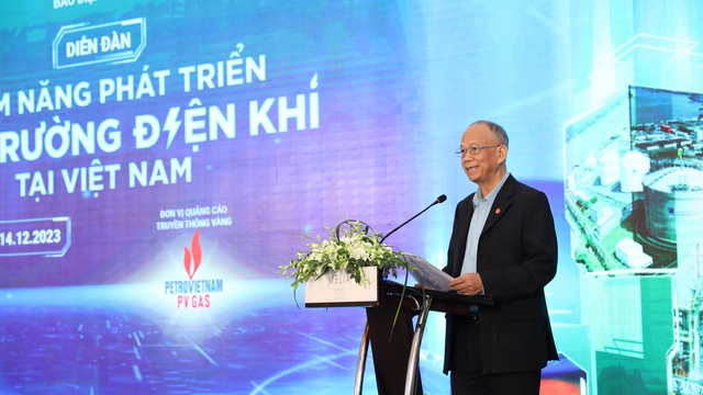 Tiềm năng phát triển thị trường điện khí tại Việt Nam- Ảnh 4.