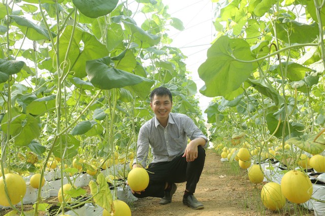 Thanh Hóa: Nâng tầm phát triển hệ sinh thái "Nông nghiệp xanh, thông minh" ở Thọ Xuân- Ảnh 5.