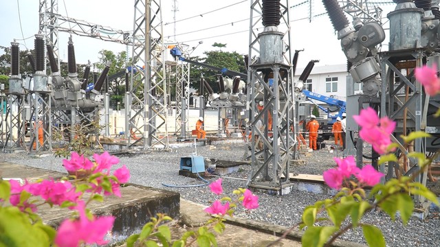 PC Đà Nẵng sẵn sàng cấp điện phục vụ mùa lễ Tết 2024- Ảnh 2.