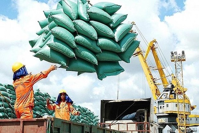Giá gạo Việt Nam tăng lên mức cao nhất trong hơn 15 năm- Ảnh 1.