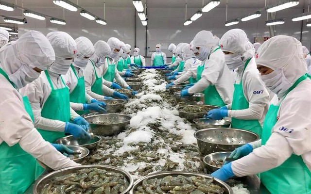 Ngành thủy sản đặt mục tiêu xuất khẩu năm 2024 đạt 9,5 tỷ USD- Ảnh 1.