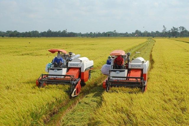 Hà Nội: Sản xuất nông nghiệp xanh sẽ trở thành mũi nhọn - Ảnh 2.