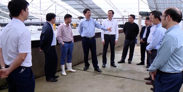 Phó Chủ tịch UBND tỉnh Lê Đức Giang thăm các mô hình sản xuất nông nghiệp tại Hậu Lộc và Hoằng Hóa - Ảnh 3.