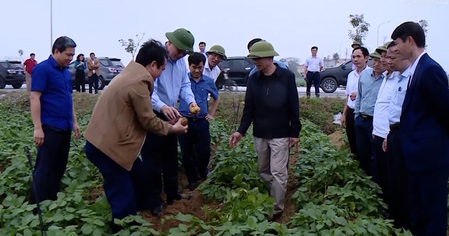 Phó Chủ tịch UBND tỉnh Lê Đức Giang thăm các mô hình sản xuất nông nghiệp tại Hậu Lộc và Hoằng Hóa - Ảnh 4.