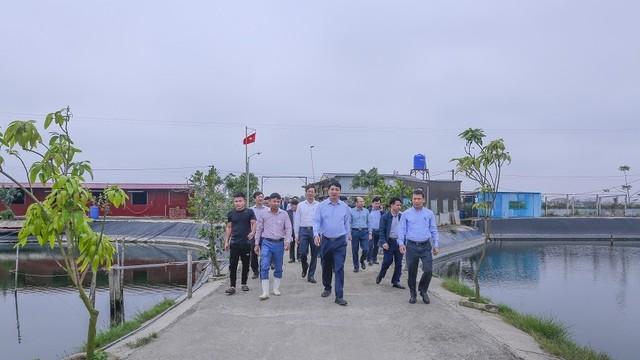 Phó Chủ tịch UBND tỉnh Lê Đức Giang thăm các mô hình sản xuất nông nghiệp tại Hậu Lộc và Hoằng Hóa - Ảnh 1.