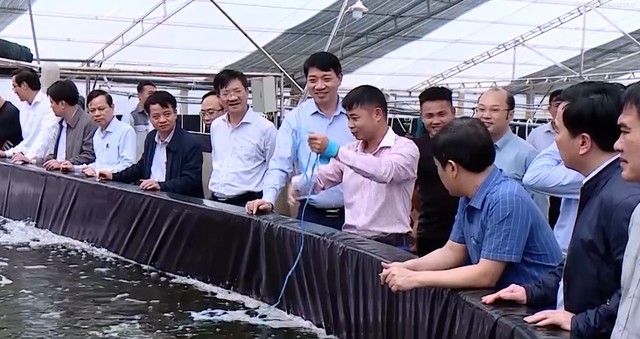 Phó Chủ tịch UBND tỉnh Lê Đức Giang thăm các mô hình sản xuất nông nghiệp tại Hậu Lộc và Hoằng Hóa - Ảnh 2.