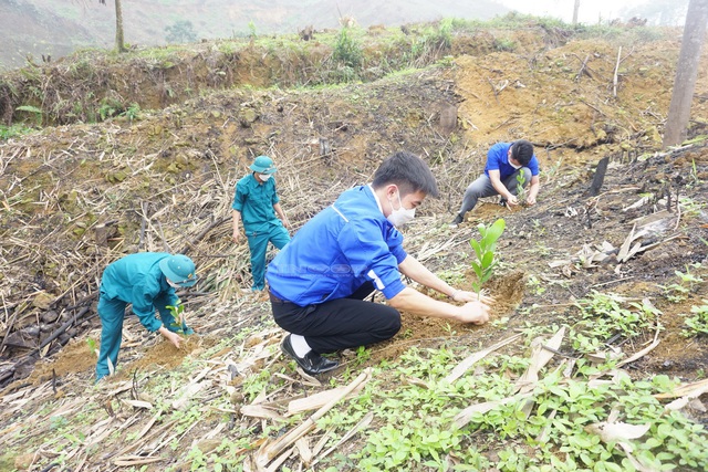 Thái Nguyên: Gần 6,3 triệu cây xanh được cập nhật lên phần mềm Thai Nguyen Smart Trees - Ảnh 1.