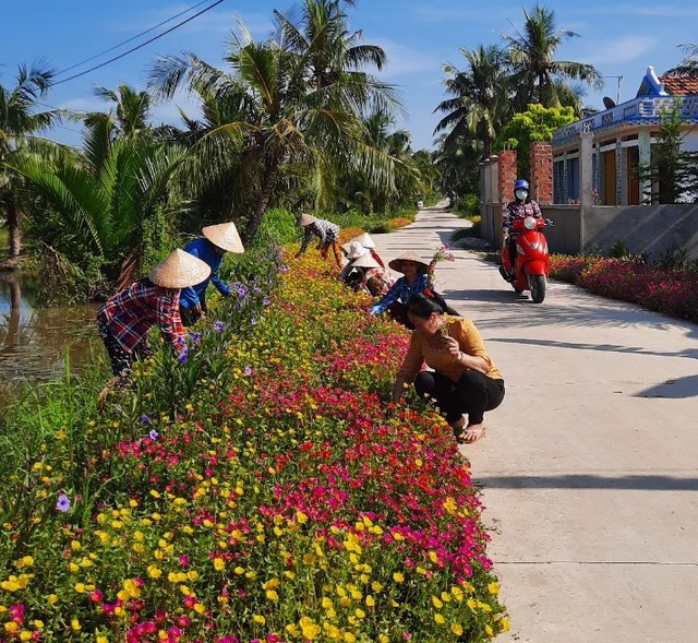 Với sự đồng thuận của người dân, đường xá ở xã An Phú Trung không những được bêtông hóa mà còn được người dân chăm chútba82ng những thảm hoa rất đẹp mắt.