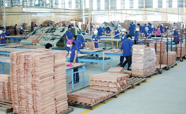 Thị trường Australia còn nhiều dư địa nhập khẩu gỗ Việt Nam - Ảnh 1.