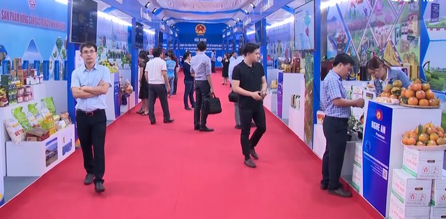 Hơn 100 sản phẩm tiêu biểu tỉnh Thanh Hóa trưng bày tại thành phố Quy Nhơn, tỉnh Bình Định - Ảnh 2.