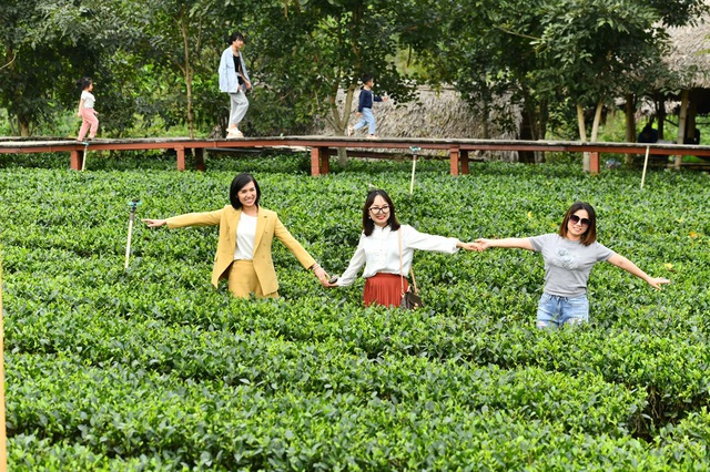 Ra mắt tuyến du lịch văn hóa Hà Nội - Bắc Giang với 7 gói sản phẩm đa dạng - Ảnh 2.