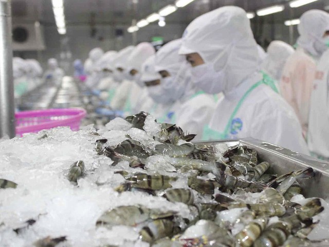 Đề nghị bỏ hạn ngạch đối với tôm Việt nhập khẩu vào Hàn Quốc - Ảnh 1.