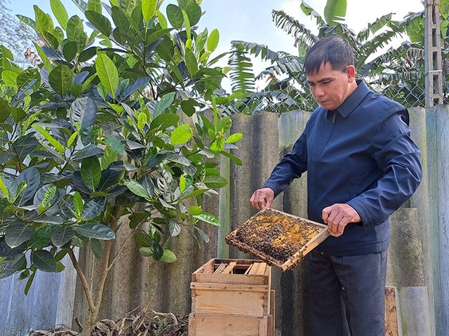 “Mùa ngọt” của nghề  nuôi ong lấy mật ở Hà Tĩnh. - Ảnh 1.