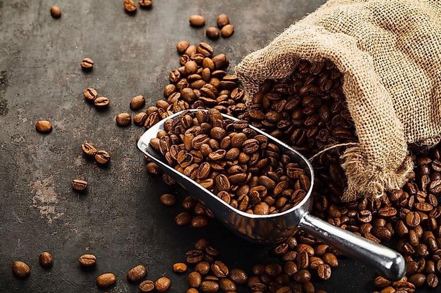 Thị trường nông sản ngày 31/3: Giá cà phê cao nhất 49.000 đồng/kg - Ảnh 1.