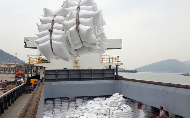 Giá gạo xuất khẩu Việt Nam bật tăng gần 10% so với cùng kỳ - Ảnh 1.