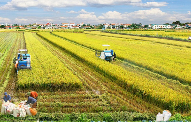 Việt Nam đăng cai Hội nghị toàn cầu Hệ thống lương thực thực phẩm lần thứ 4  - Ảnh 1.