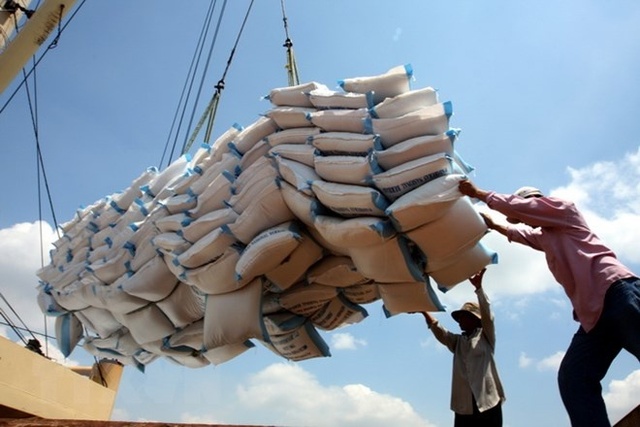 Việt Nam sẽ giảm xuất khẩu gạo vào năm 2030 còn khoảng 4 triệu tấn - Ảnh 1.