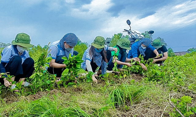 Cà Mau: Xã Nguyễn Việt Khái được công nhận đạt chuẩn nông thôn mới - Ảnh 1.