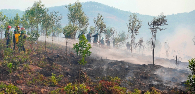 Thừa Thiên Huế: Chủ động phòng, chống cháy rừng trong thời tiết nắng nóng - Ảnh 1.