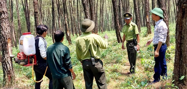 Thừa Thiên Huế: Chủ động phòng, chống cháy rừng trong thời tiết nắng nóng - Ảnh 2.