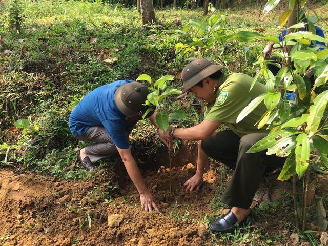 Quỹ Bảo vệ và phát triển rừng tỉnh Yên Bái: Thay đổi tư duy từ sản xuất nông nghiệp sang kinh tế nông nghiệp - Ảnh 3.