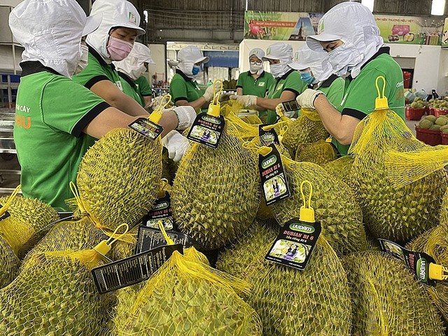 Xuất khẩu rau quả “bứt tốc” đạt gần 2,8 tỷ USD - Ảnh 1.