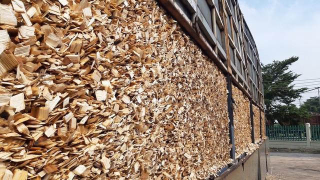 Quảng Ngãi: Đồng hành và tháo gỡ khó khăn cho các doanh nghiệp sản xuất dăm gỗ - Ảnh 1.