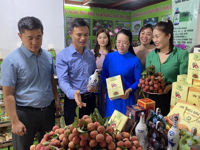 Hà Nội: Cơ hội quảng bá, giới thiệu sản phẩm nông nghiệp an toàn năm 2023 - Ảnh 1.