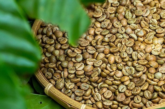 Chỉ trong 5 tháng, xuất khẩu cà phê đã vượt mốc 2 tỉ USD - Ảnh 1.