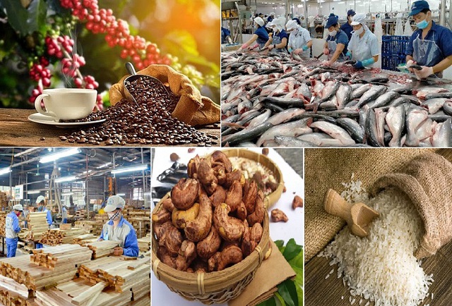 6 tháng đầu năm, xuất khẩu nông, lâm, thủy sản đạt gần 25 tỷ USD - Ảnh 1.