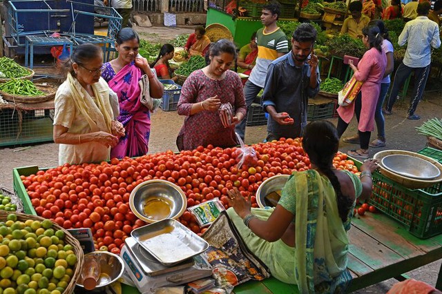 Giá cà chua tăng gấp 5 lần, cao hơn cả giá xăng ở Ấn Độ - Ảnh 2.