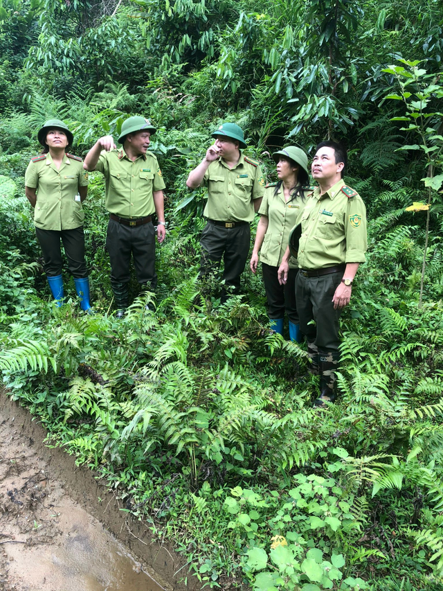 Thái Nguyên:  Trồng rừng thay thế góp phần bảo tồn đa dạng sinh học - Ảnh 1.