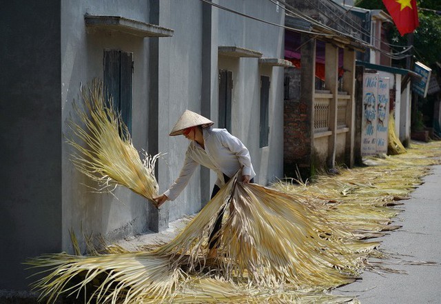 Lá cọ trắng được phơi khắp các đường làng Tri Lễ. Ảnh: Nguyễn Minh Sơn