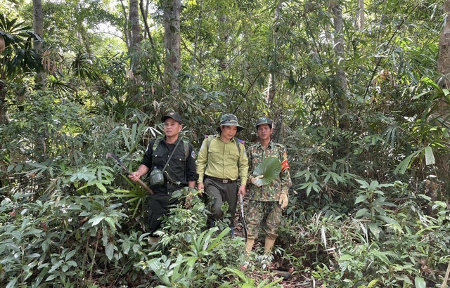 Quảng Nam: BQL Khu bảo tồn loài Sao La làm tốt công tác bảo vệ, phát triển rừng - Ảnh 2.