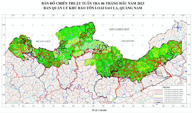 Quảng Nam: BQL Khu bảo tồn loài Sao La làm tốt công tác bảo vệ, phát triển rừng - Ảnh 1.